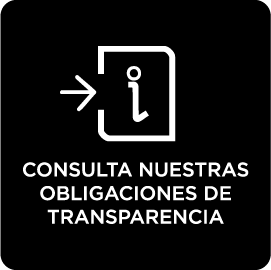 Consulta Pública